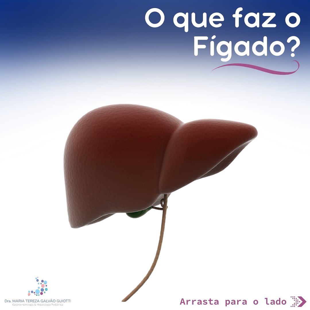 O que faz o Fígado? - Dra. Maria Tereza Pediatra - Gastroenterologia e ...