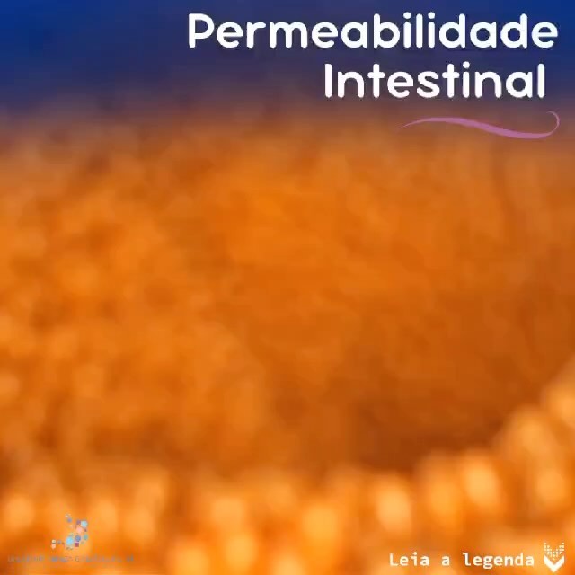 Permeabilidade Intestinal, pop pediatria, dra maria tereza, gastropediatria, gastro, hepato, pediatria, pinheiros, são paulo, intestino, berreira, integridade, toxinas, colite, gastroenterologicas